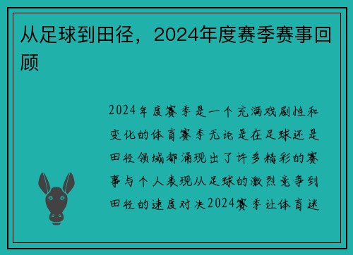 从足球到田径，2024年度赛季赛事回顾