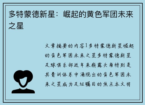 多特蒙德新星：崛起的黄色军团未来之星